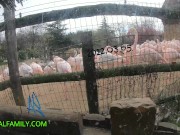 HARDCORE Loving MELODY MARKS Takes Big Cock Ball Deeps 6/16