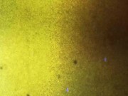 BLACK-TGIRLS: ENJOY ANA'S BIG BLACK COCK HERE 1/16