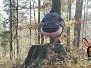 Stockings and high heels mature milf mom pissing outdoor with anus on leash 7/16