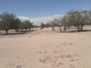 desnuda en publico trans caliente con tacones altas y plug anal muy puta nalgona 4/16