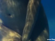 Wanting You To Understand Her Sensual Desires Tonight 16/16