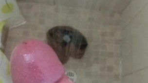 Te Gustaria Verme Venir ?