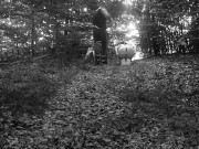 Training my girl to behave as a good pet 14/16