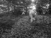 Training my girl to behave as a good pet 4/16