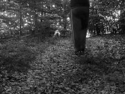 Training my girl to behave as a good pet 5/16