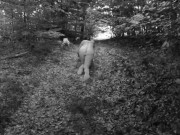 Training my girl to behave as a good pet 9/16