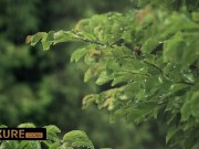 Double Penetration with the hot blonde babe Cherry kiss 1/16