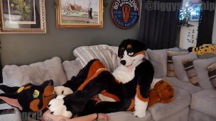 Horny fursuiter frots and teases with his paws
