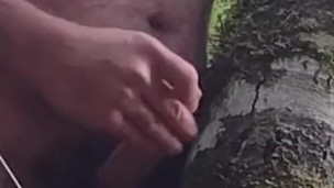 Tree Fucker. Having sex with a tree. And I cum on her pubes