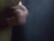 Peresoso - Screenshot 12 of 16 - Latino