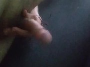 Peresoso - Screenshot 8 of 16 - Pene