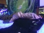 rollin one just for yall 16/16