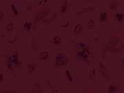 teen amateur nina - ass tits striptease 2/16