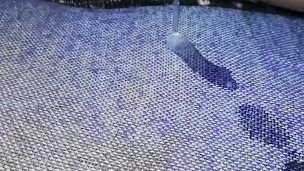 Pussy e anal: gemidos reais em vídeos virais extremos