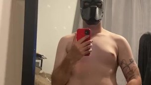 Cute pup has morning wood