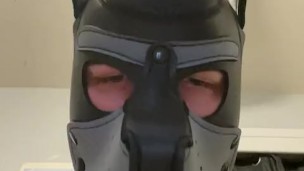 Cute pup sucks your big white cock and gags a little POV