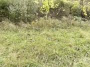 Fingered at the Finger Lakes 16/16