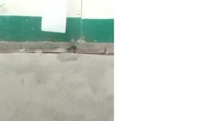 Public Cr masturbate (malapit mahuli)