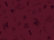 you like it ? Follow me ;) Teen striptease 2/16