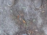 Risky Backyard Pissing Thought It Would Never End Compilation 1 Video Loop 3/16