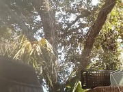 Trials and tribulations 15/16