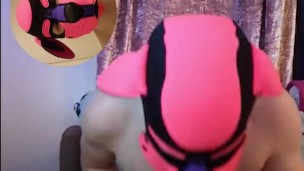 Puppy Cums on Desk and Cleans Up