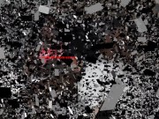 mistresses licking 11/16