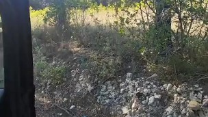 Cruising in Portugzl