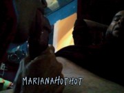 Petera argentina 11/16