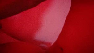 Amiga de mi novia dice "Me encanta la verga" mientras me la cojo