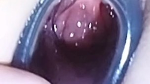 A peek inside me!