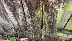 Pissing outside with a boner a few times last summer