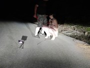 A good example of an obedient three holed fuck toy toilet cunt that all superior men expect to see f 13/16