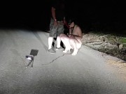 A good example of an obedient three holed fuck toy toilet cunt that all superior men expect to see f 15/16