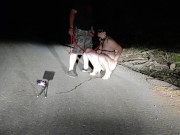 A good example of an obedient three holed fuck toy toilet cunt that all superior men expect to see f 16/16