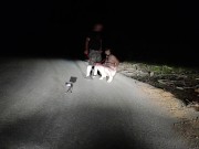 A good example of an obedient three holed fuck toy toilet cunt that all superior men expect to see f 6/16