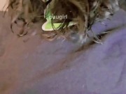 POV sitting on your dick FULL VIDEO ON ONLYFANS 3/16