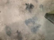 Slut Wife Ride Husband Big Dick And Loud Moaning She Need More Dick Deep Inside Pussy 4/16