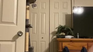 Virgin Anal Twink circumsiced cock gets dressed after shower