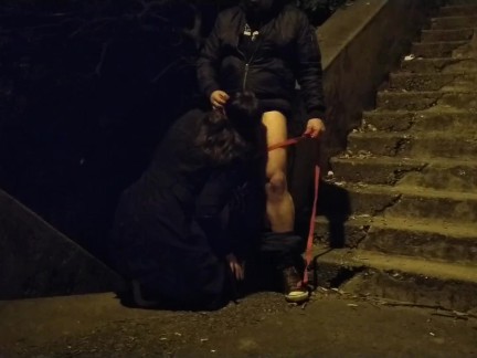 Mother in law sucking boy cock in public on dog leash