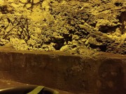 Drop down to your knees and worship my fucking anus so i can cum in your mouth! 1/16