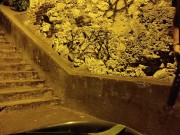 Drop down to your knees and worship my fucking anus so i can cum in your mouth! 16/16