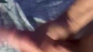Nut vid