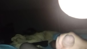 When the sneaky link wants to get pregnant