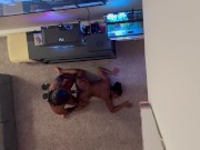 Vibing At The Crib, Having Great Sex (Cumshot) 2/16