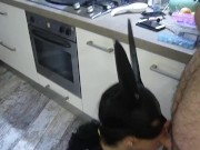 I‘m Just A Cum Dump For Men BUNNY MASK 4/16