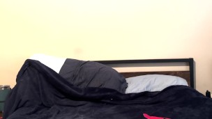 Puppy self bondage on bed