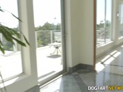 Brunette cheats on husband with a big black cock 2/16