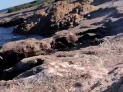 OnlyFans Girl sucks sweathy dick from running trainer at the ocean 6/16