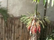 Sex after shower makes it hard to handle this dick and girl's orgasm comes too fast + cumsot 3/16